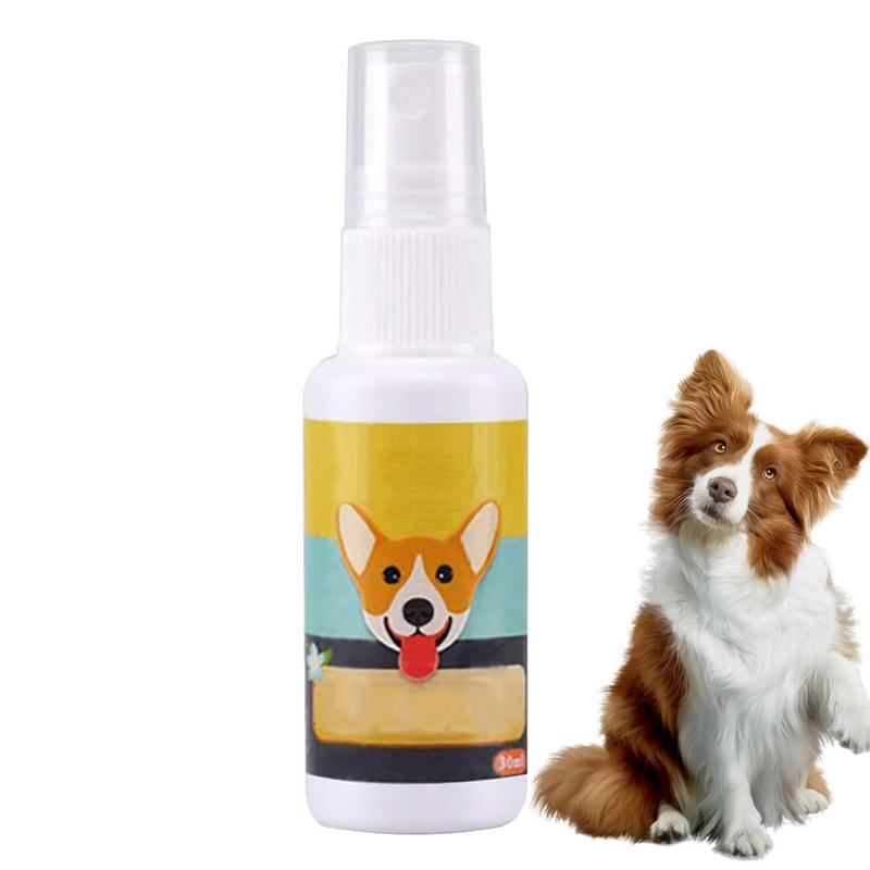 Travel Accessories In Train - 1PCS Dog Potty Train Spray portatile