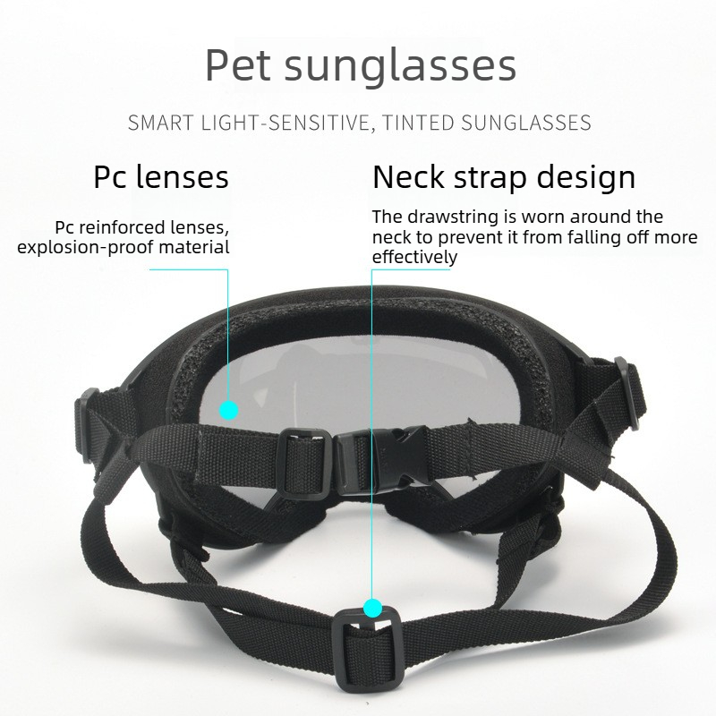 Occhiali Protettivi per Animal - Travel Accessories Gift Ideas recensione e prezzo