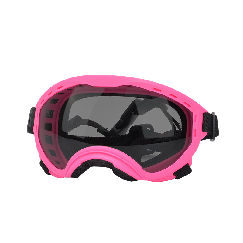 Occhiali Protettivi per Animal - Travel Accessories Gift Ideas recensione e prezzo